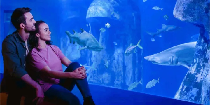 倫敦海洋生物水族館