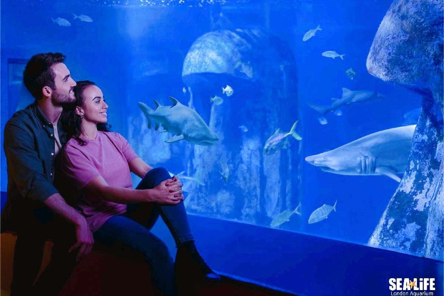 倫敦海洋生物水族館