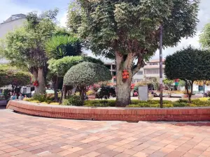 Jaime Rook Park