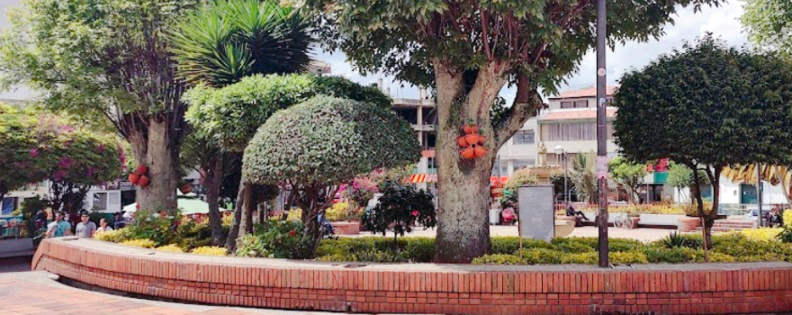 Jaime Rook Park