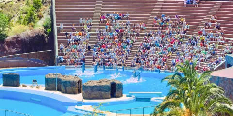 馬略卡海樣世界