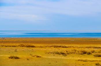 西寧熱門賞秋好去處