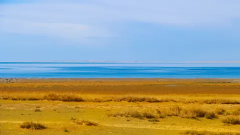 Qinghai Lake attraction in Xining