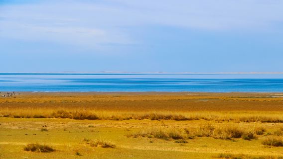 青海湖+日月山+拉脊山包車遊·上門接送/包車可選車型/純玩