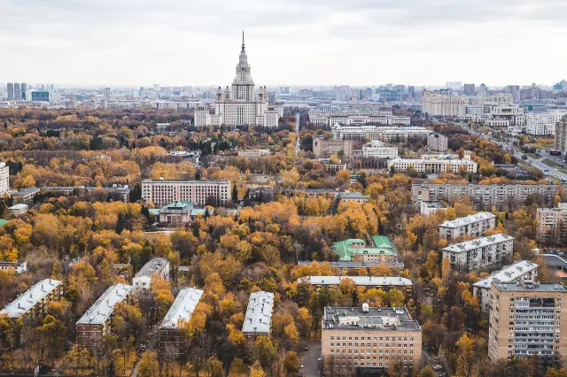 Ginkgo Viewing in Moscow