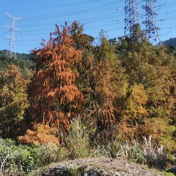 ma luan shan jiao ye gong yuan - luo yu shan lin
