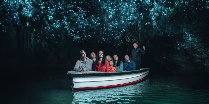 Waitomo Glowworm Caves