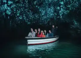 ถ้ำไวโตโมโกลว์วอร์ม