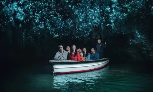 Waitomo Glowworm Caves