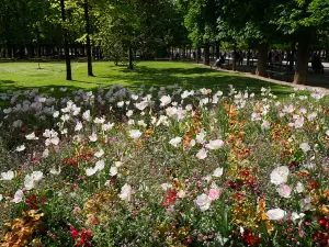 Luxembourg Garden