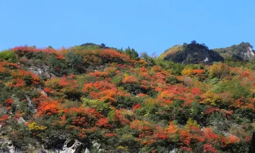 Shuimo Valley Scenic Area