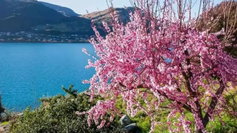 Queenstown Hill attraction in Otago