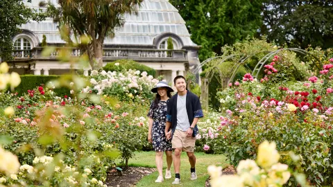 Christchurch travel destination