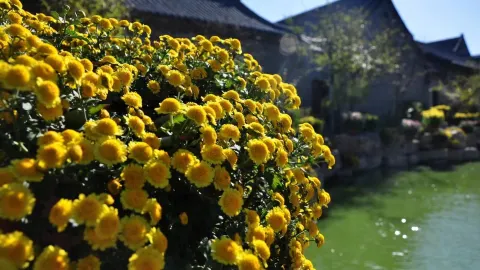Zhoucun Ancient Town attraction in Zibo