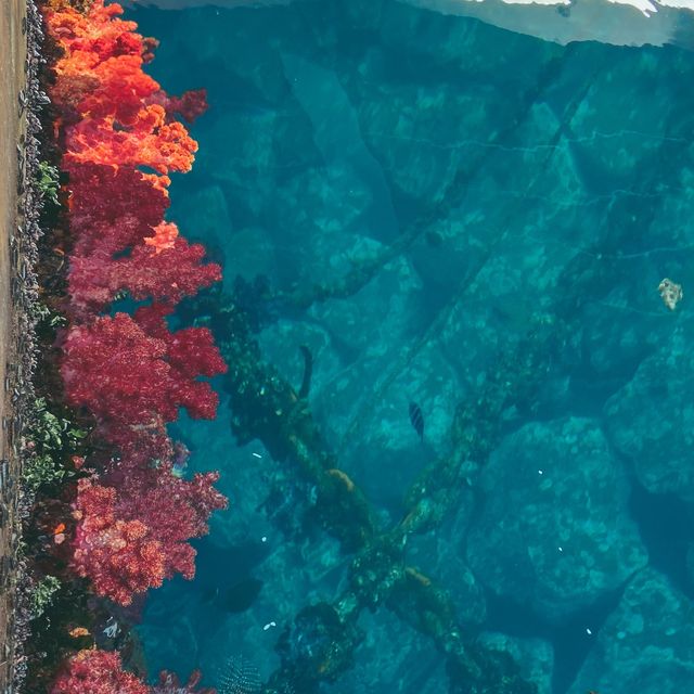 【高知】絶景！エメラルドグリーンの海