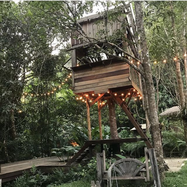 บ้านในหมง treehouse โฮมสเตย์กลางป่า