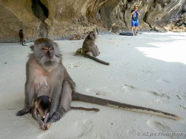 Monkey Beach Phuket