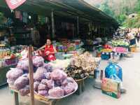 Touring at the local market 
