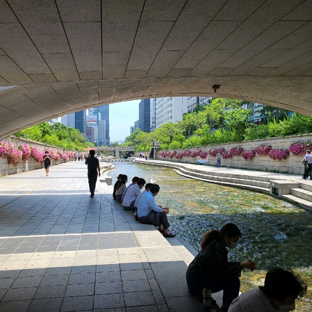 광화문에서 점심먹고 청계천 산책!