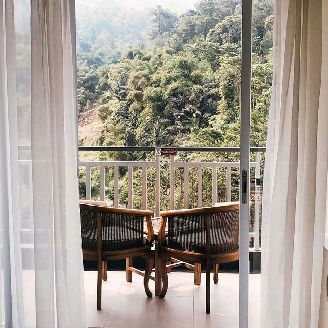 le eminance puncak