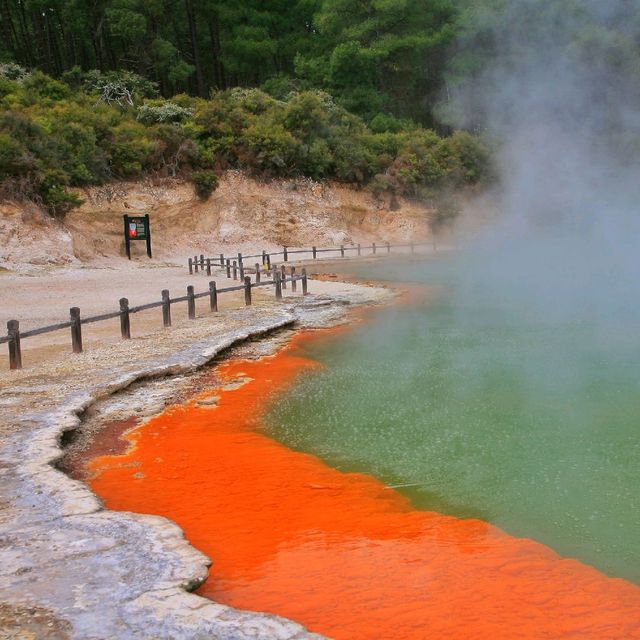 Rotorua