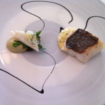 ESqUISSE用戶圖片