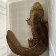 天赐鱼泉 User Photo