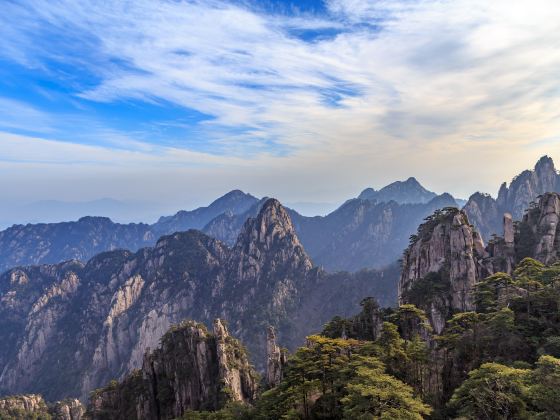 Huangshan Fuxi Wild Monkey Valley