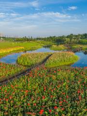 松雅湖湿地公園