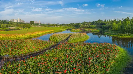 松雅湖濕地公園