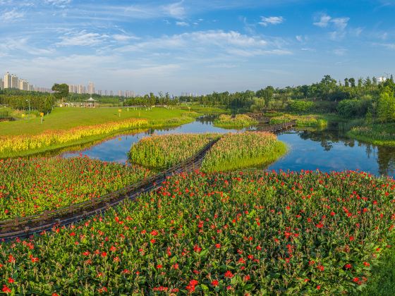 松雅湖濕地公園