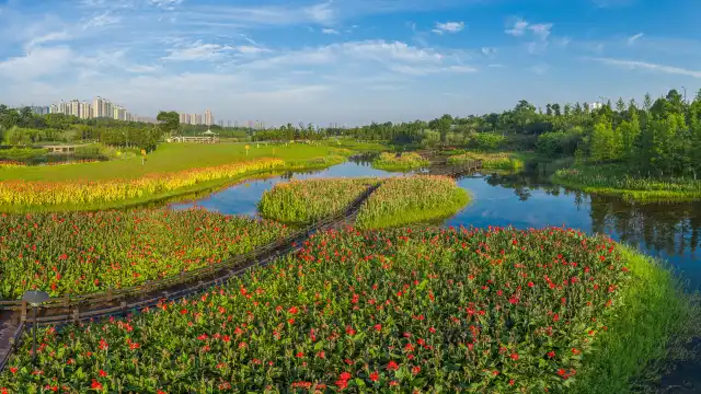 Hotels near Songya Lake Wetland Park