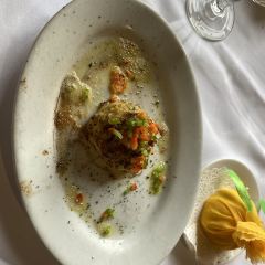 Hippopotamus User Photo