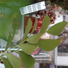 开通CAFE&BOOK(喜马拉雅店) User Photo