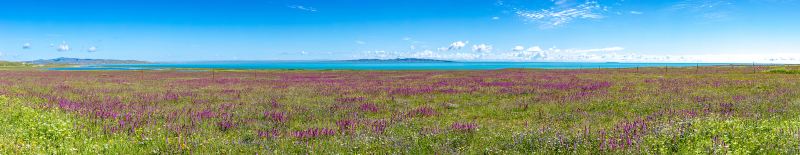 Qinghai Lake