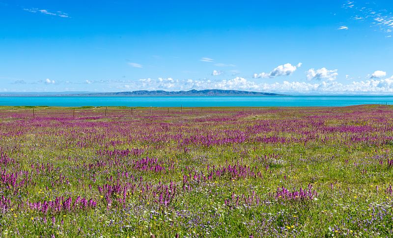 Qinghai Lake