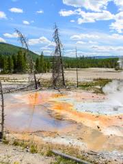 Thumb Geyser