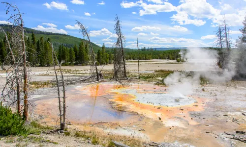 Thumb Geyser