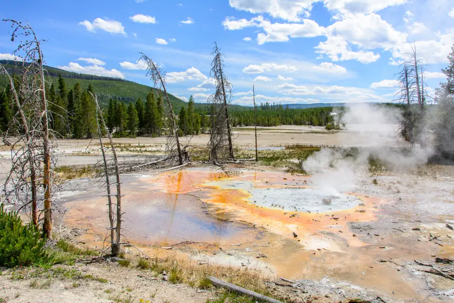 Thumb Geyser