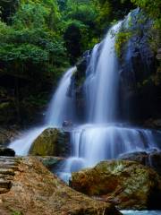 Longyan Dongxiao Forest Park