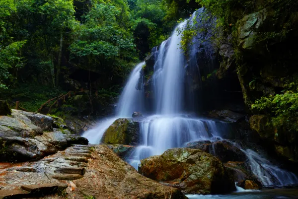 โรงแรมใกล้Wangshou Mountain National Forest Park