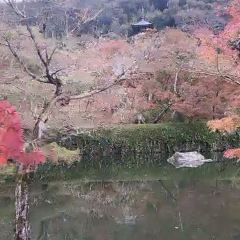 CLUB METRO User Photo