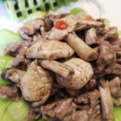 MANG QIAN MANG HOU MA MA CAI User Photo
