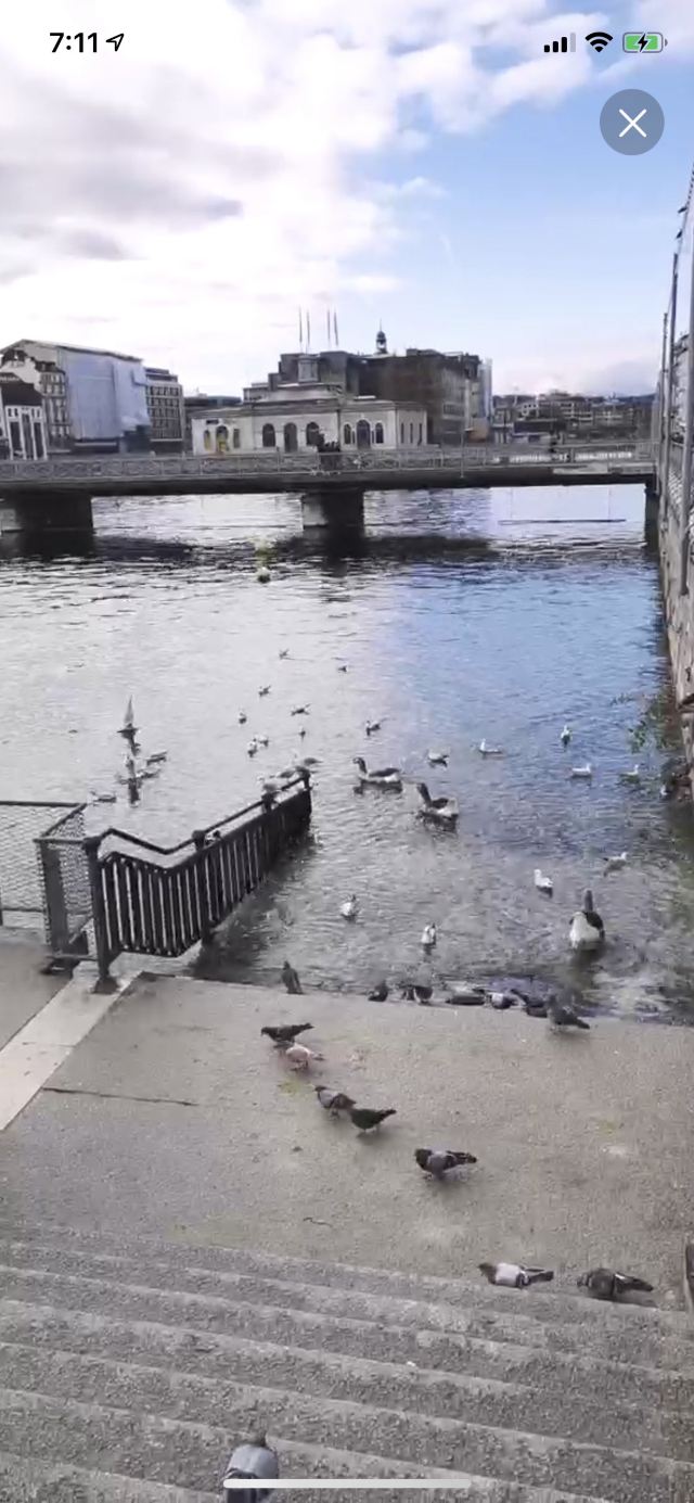 日內瓦湖