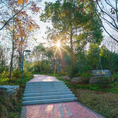 老撾航空 飛 芹苴