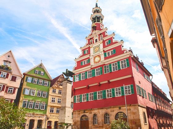 Town Hall (Rathaus)