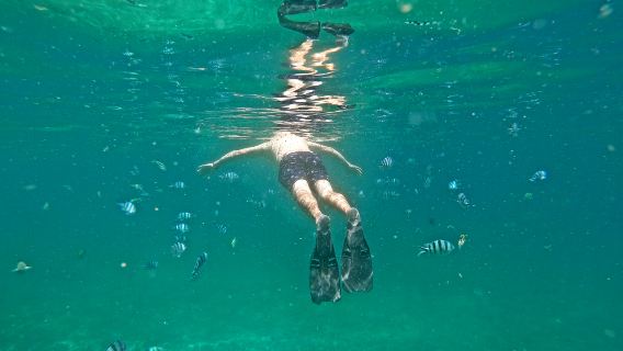 Speedboating Chasing Dolphins + Natural Bridge + Southern 4WD Adventure + Blue Bay Glass Bottom Boat Snorkeling one-day tour