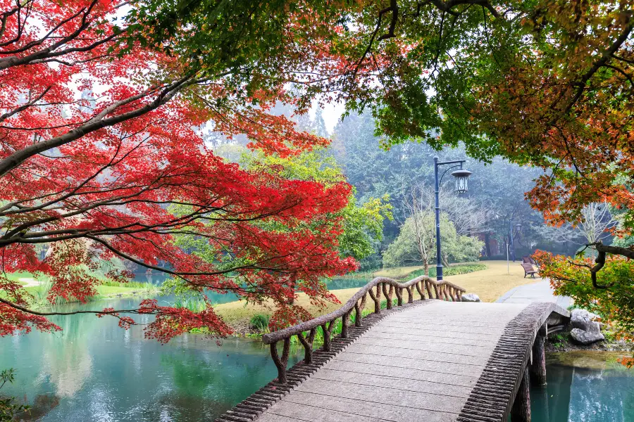 漣江公園