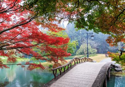 漣江公園