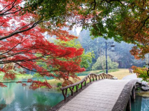 惠水10大最佳酒店排名